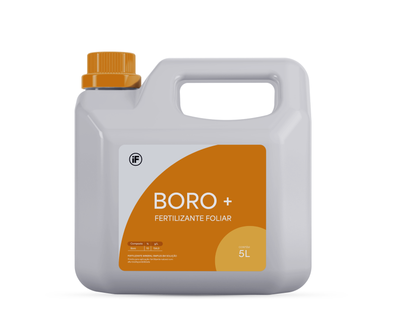 Boro-sem-fundo